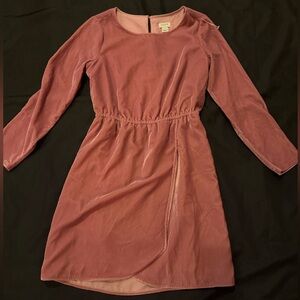 Pink Velvet J Crew Dress